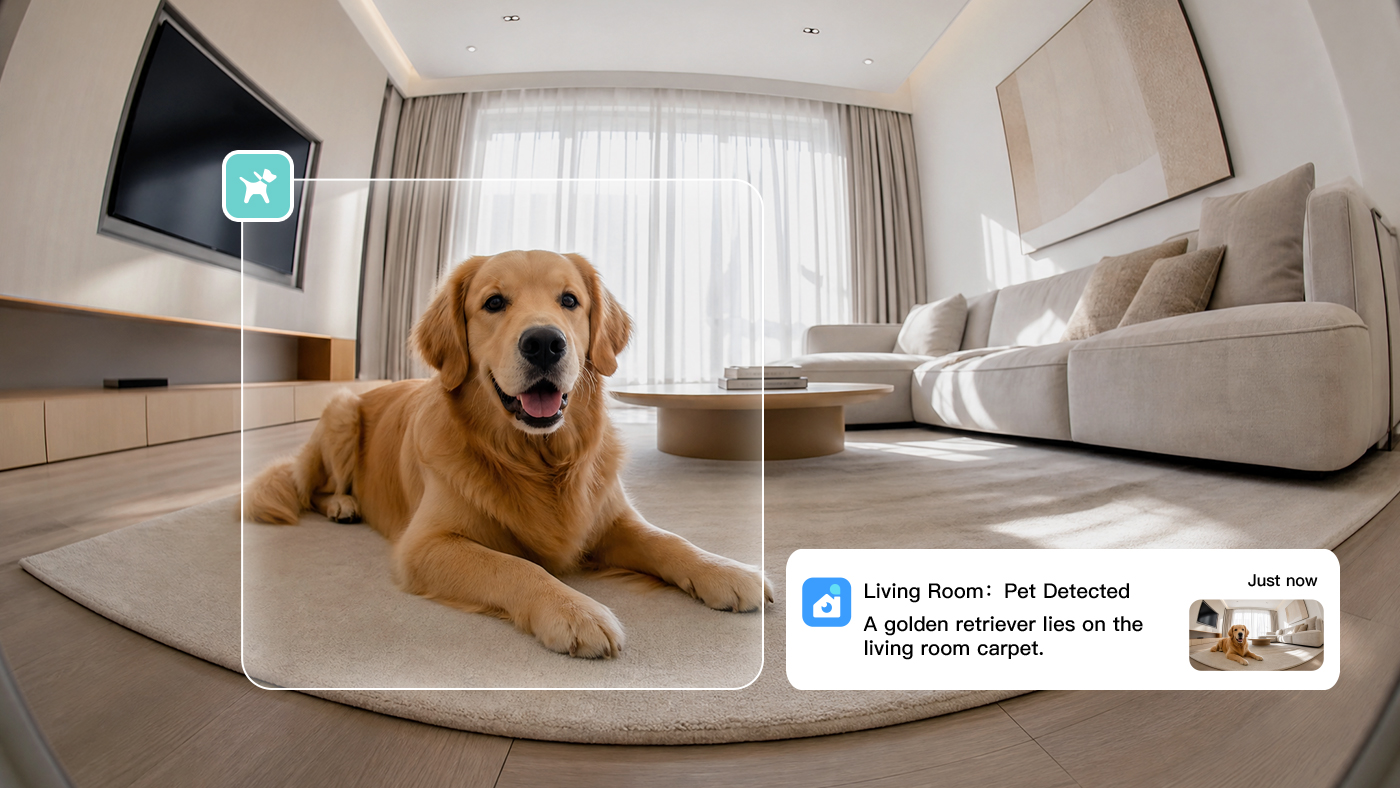 Pet Detection